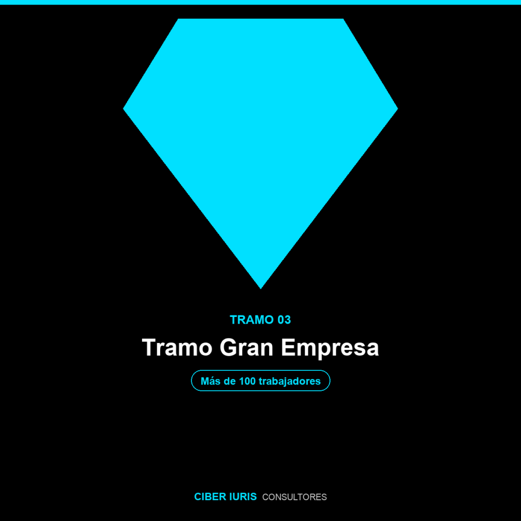 Implementación SGSI + SGPD — Tramo Gran Empresa (más de 100 trabajadores)