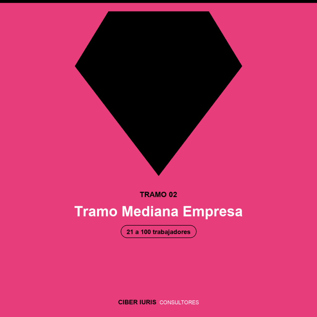 Implementación SGSI + SGPD — Tramo Mediana Empresa (21 a 100 trabajadores)