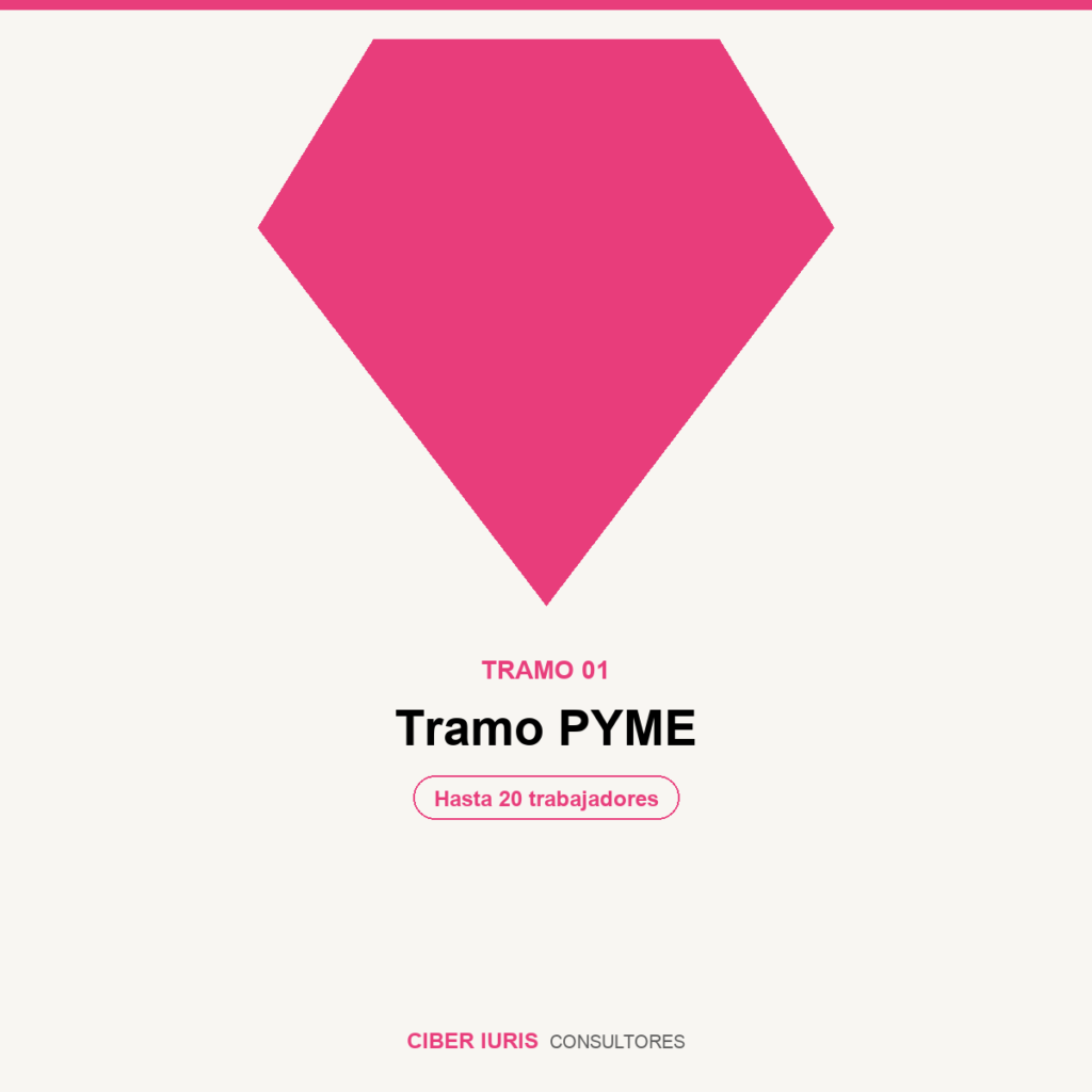 Implementación SGSI + SGPD — Tramo PYME (hasta 20 trabajadores)